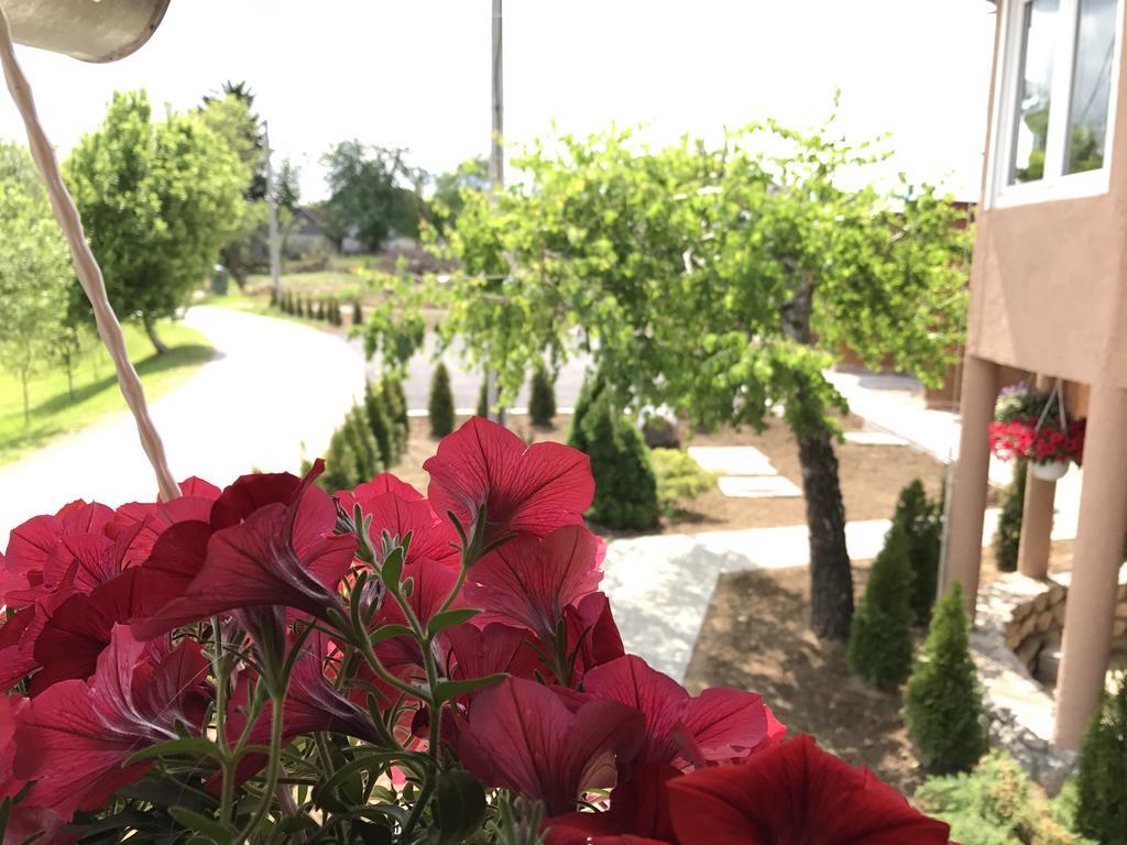 Villa Rubcic Rakovica Buitenkant foto